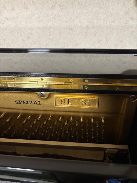 BL61 K833817（ピアノ・楽器・PA機材）の商品画像 - 査定依頼日：2026年2月8日 - 最高査定価格：20,000円