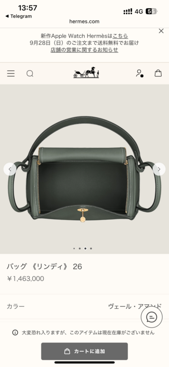 エルメス リンディ （ブランドバッグ）の商品画像 - 査定依頼日：2025年10月4日 - 最高査定価格：1,200,000円