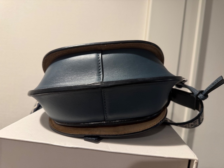 ロエベ　ゲートデュアルミニバッグ　（ブランドバッグ）の商品画像 - 査定依頼日：2026年2月17日 - 最高査定価格：85,000円