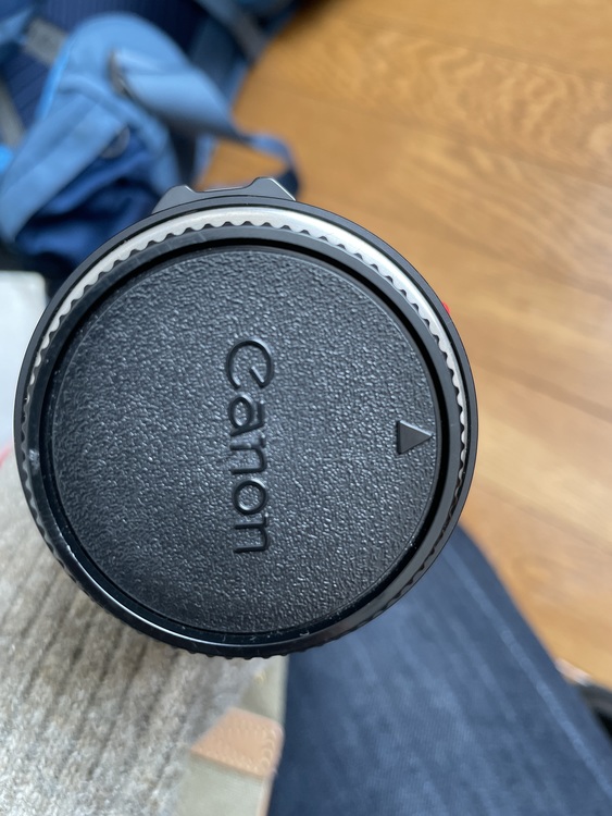 Canon lens DF 300mm 1:4（カメラ）の商品画像 - 査定依頼日：2022年1月6日 - 最高査定価格：5,000円