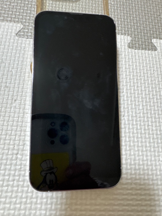 iPhone 13 Pro 256GB 楽天モバイル（スマホ）の商品画像 - 査定依頼日：2026年4月15日 - 最高査定価格：58,000円