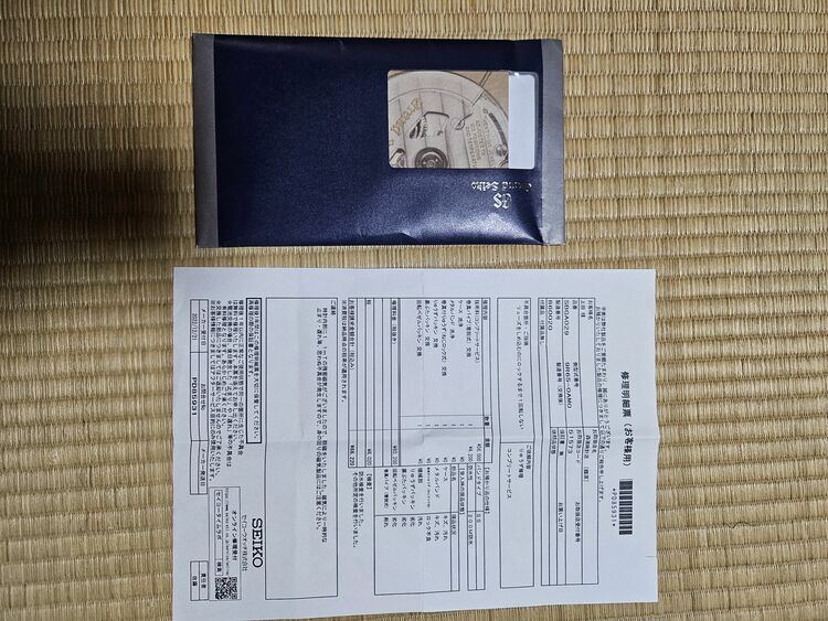 セイコー スプリントドライブ SBGA029S（高級時計）の商品画像 - 査定依頼日：2025年7月8日 - 最高査定価格：280,000円