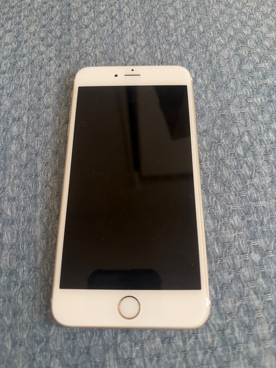 iphone6 プラス（スマホ）の商品画像 - 査定依頼日：2026年8月29日 - 最高査定価格：100,000円