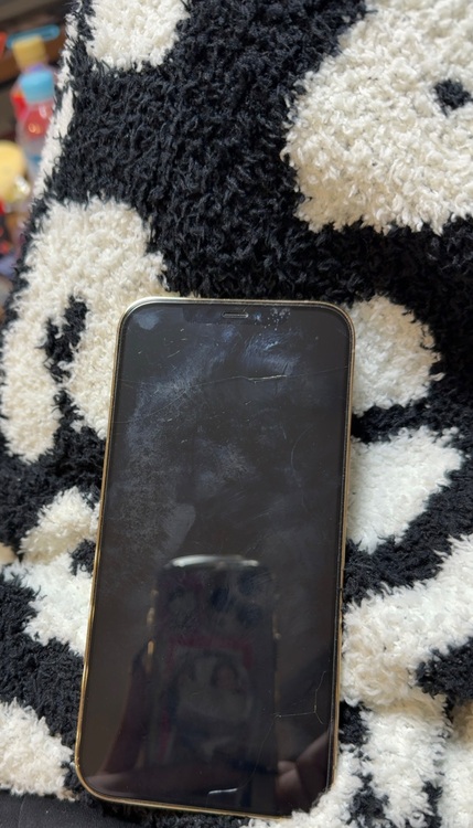 iPhone12ProMax（スマホ）の商品画像 - 査定依頼日：2025年12月2日 - 最高査定価格：54,000円