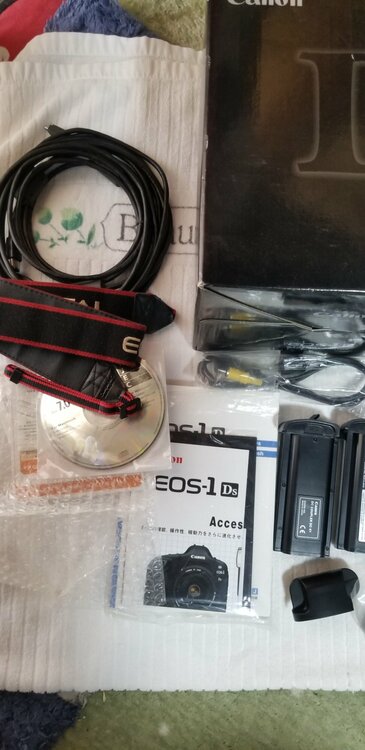Canon EOS 1D MarkII キヤノン（カメラ）の商品画像 - 査定依頼日：2026年4月15日 - 最高査定価格：15,100円