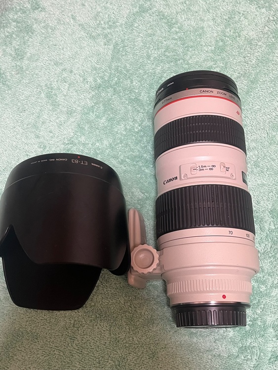 LENS EF 70-200mm 1:2.8（カメラ）の商品画像 - 査定依頼日：2026年5月16日 - 最高査定価格：48,000円