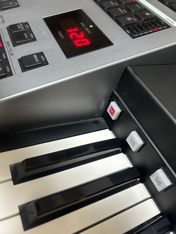 ELS-02C（ピアノ・楽器・PA機材）の商品画像 - 査定依頼日：2025年11月12日 - 最高査定価格：130,000円