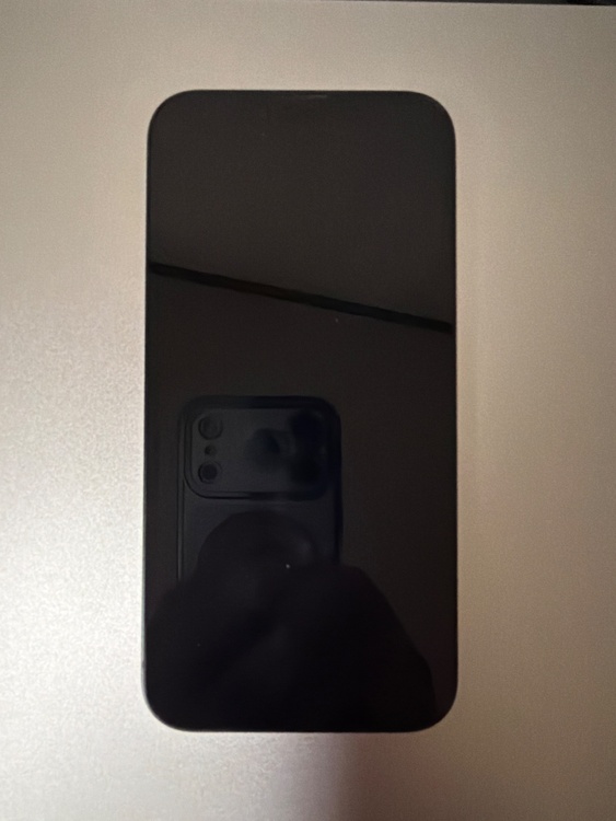 iPhone 13 256GB SIMフリー（スマホ）の商品画像 - 査定依頼日：2026年3月31日 - 最高査定価格：39,000円