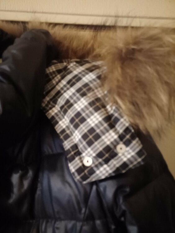 その他 その他 （ブランドバッグ）の商品画像 - 査定依頼日：2026年3月11日 - 最高査定価格：3,000円