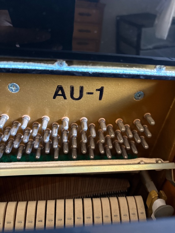 トーカイ AU-1（ピアノ・楽器・PA機材）の商品画像 - 査定依頼日：2025年9月22日 - 最高査定価格：10,000円