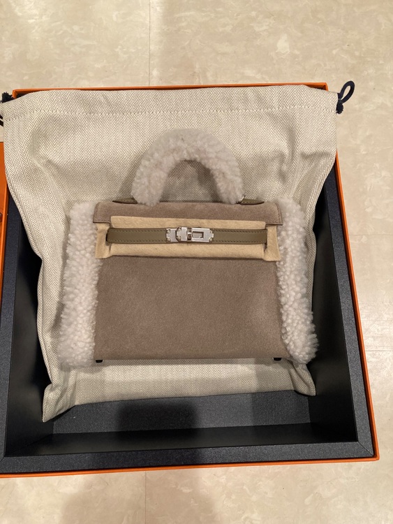 ミニケリー　テディ（ブランドバッグ）の商品画像 - 査定依頼日：2025年6月14日 - 最高査定価格：6,000,000円