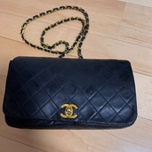 ショルダーバッグ（ブランドバッグ）の商品画像 - 査定依頼日：2025年9月29日 - 最高査定価格：240,000円