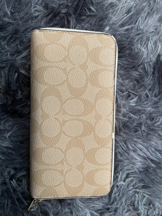 その他 コーチ （ブランドバッグ）の商品画像 - 査定依頼日：2025年3月21日 - 最高査定価格：2,000円