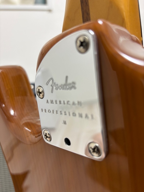 Fender ISA American Professional II（ピアノ・楽器・PA機材）の商品画像 - 査定依頼日：2026年6月28日 - 最高査定価格：120,000円