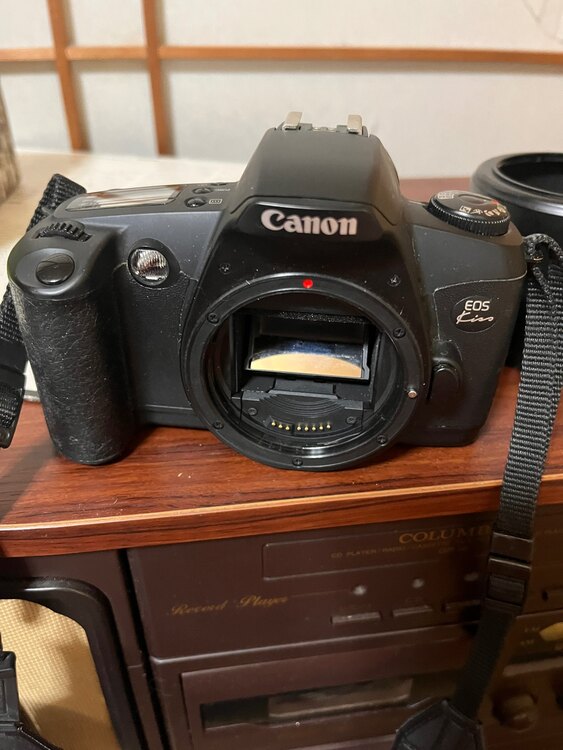 Canon EOS kiss（カメラ）の商品画像 - 査定依頼日：2025年1月31日 - 最高査定価格：100,000円