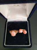 サンゴの指輪とイヤリング（宝石）の商品画像 - 査定依頼日：2024年11月28日 - 最高査定価格：50,000円