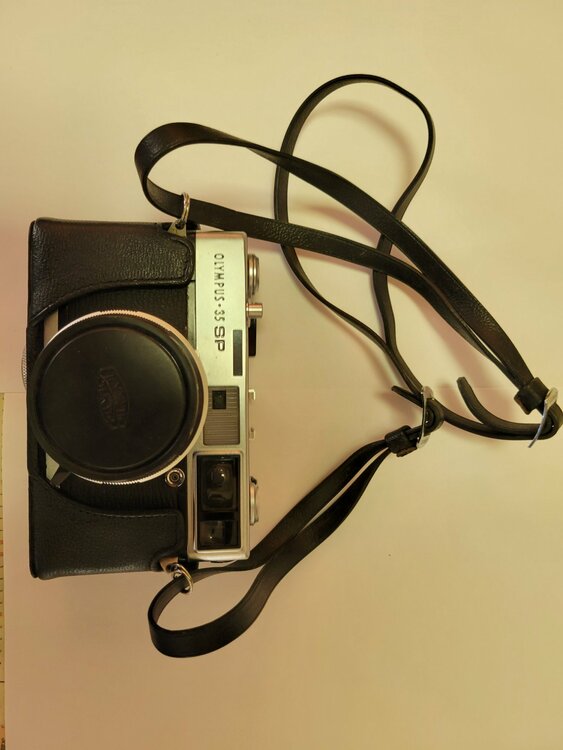 35 SP（カメラ）の商品画像 - 査定依頼日：2026年1月12日 - 最高査定価格：350円