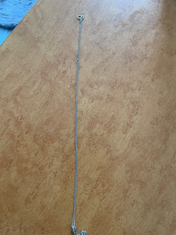 ネックレス（金・貴金属）の商品画像 - 査定依頼日：2025年7月28日 - 最高査定価格：50,000円