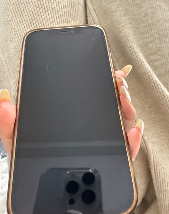 iPhone12 Pro（スマホ）の商品画像 - 査定依頼日：2026年2月10日 - 最高査定価格：31,000円