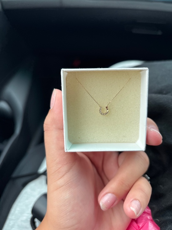 ネックレス（金・貴金属）の商品画像 - 査定依頼日：2025年8月10日 - 最高査定価格：10,000円