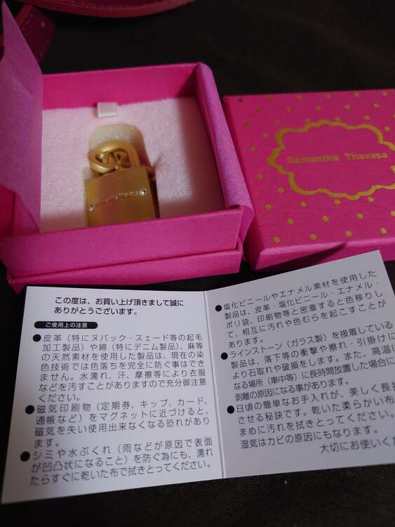 ショルダーバッグ（ブランドバッグ）の商品画像 - 査定依頼日：2025年2月23日