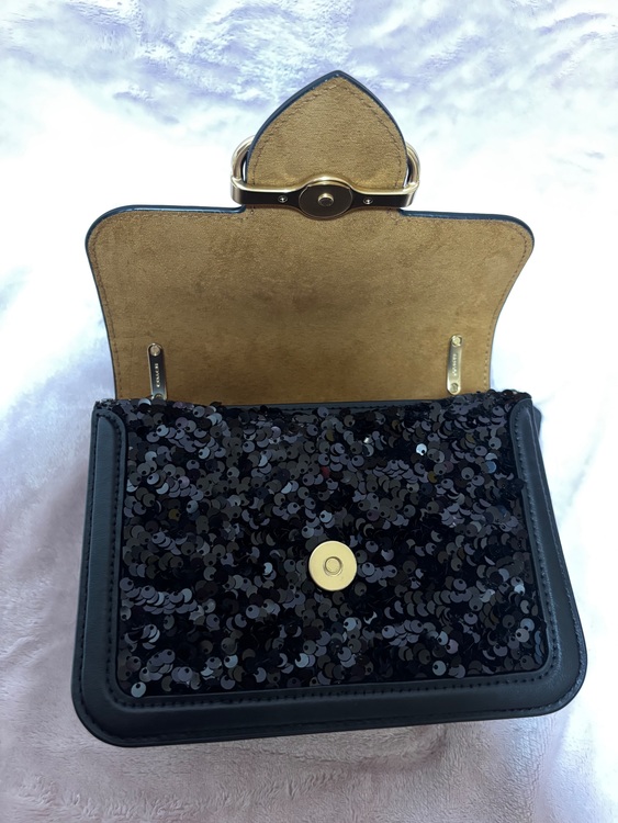 その他 コーチ （ブランドバッグ）の商品画像 - 査定依頼日：2025年6月5日 - 最高査定価格：5,000円