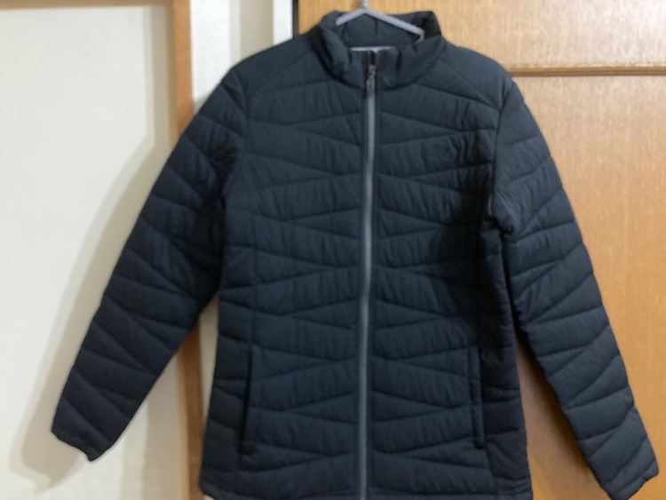 ザノースフェイス ホワイトレーベル VX HEAT ジャケット】（古着・ファッション）の商品画像 - 査定依頼日：2025年10月10日 - 最高査定価格：1,000円