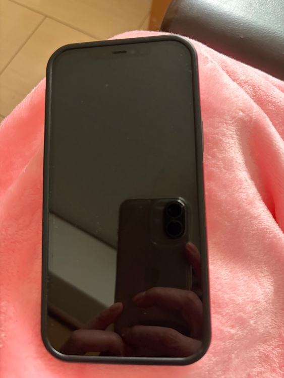 iPhone 12 Pro Max 512GB Softbank（スマホ）の商品画像 - 査定依頼日：2026年3月12日 - 最高査定価格：48,000円