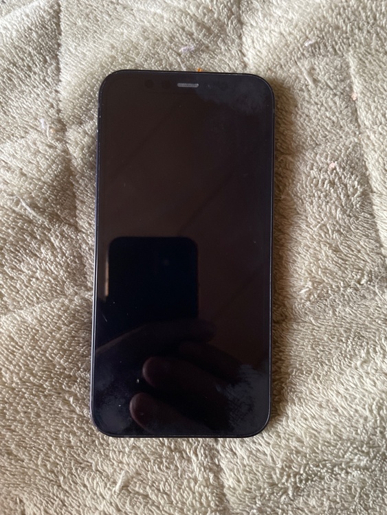 iPhone 12 mini 128GB SIMフリー（スマホ）の商品画像 - 査定依頼日：2026年4月20日 - 最高査定価格：22,000円