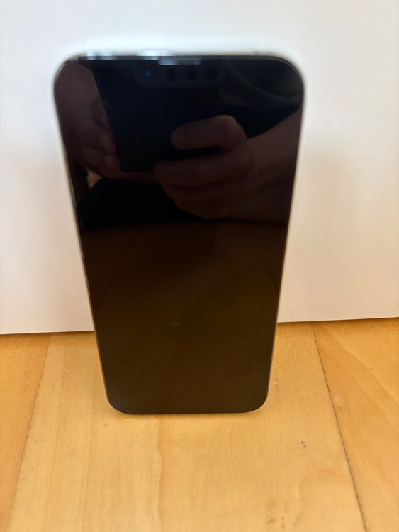 iPhone iPhone 13 Pro Max 128GB docomo（スマホ）の商品画像 - 査定依頼日：2026年6月14日 - 最高査定価格：53,000円