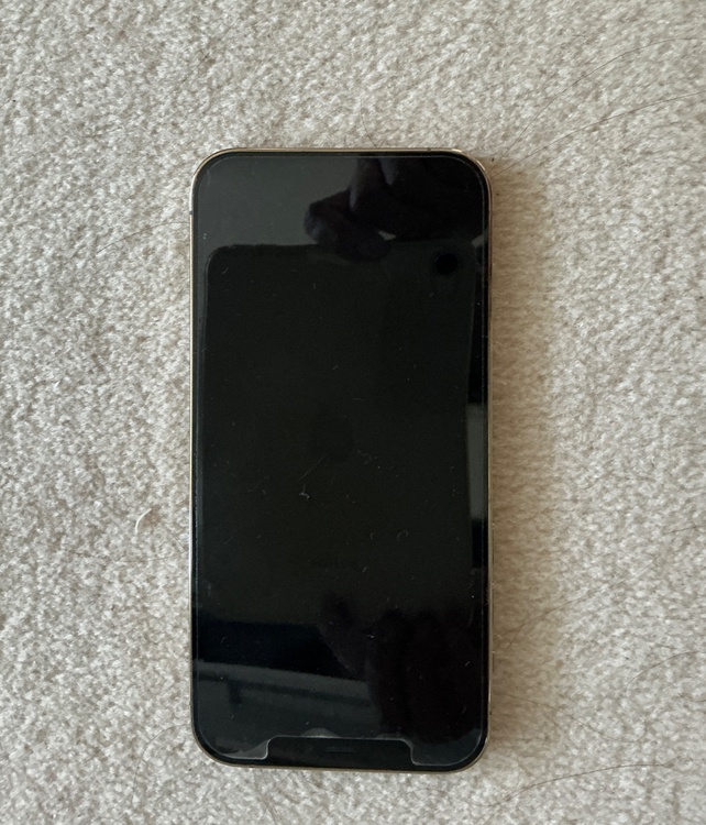 iphone 12 pro 128GB+softbank Cellular（スマホ）の商品画像 - 査定依頼日：2026年9月18日 - 最高査定価格：29,500円