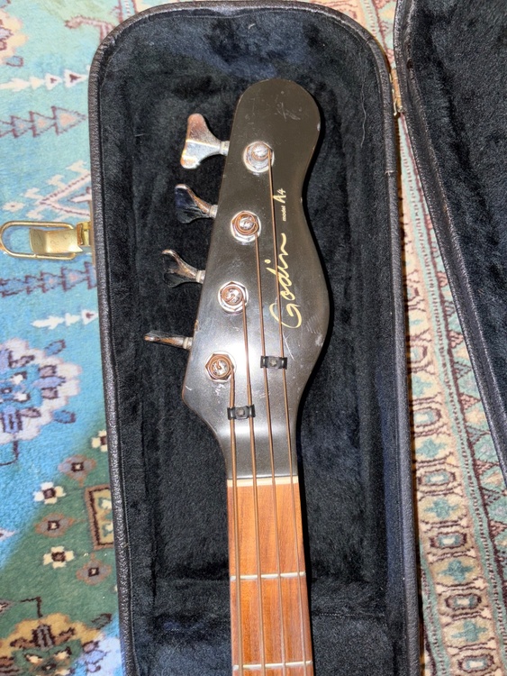 Godin model A4（ピアノ・楽器・PA機材）の商品画像 - 査定依頼日：2026年10月2日 - 最高査定価格：45,000円