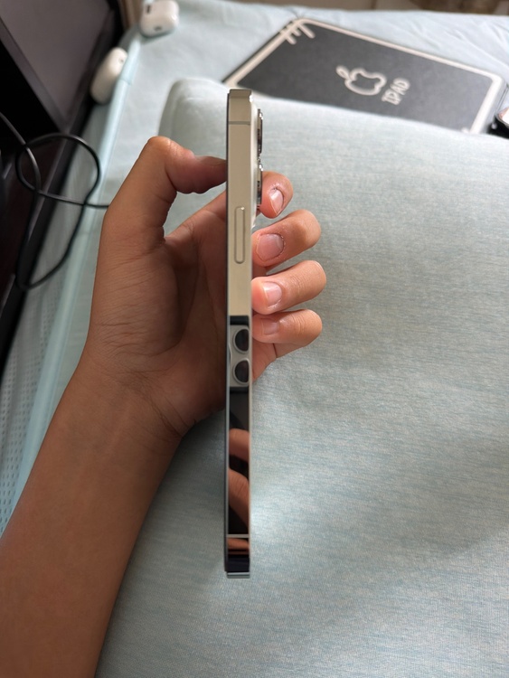 iPhone iPhone 13 Pro Max 256GB Softbank（スマホ）の商品画像 - 査定依頼日：2026年9月13日 - 最高査定価格：64,000円