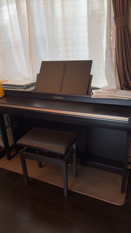 CN27R（ピアノ・楽器・PA機材）の商品画像 - 査定依頼日：2025年11月23日 - 最高査定価格：10,000円