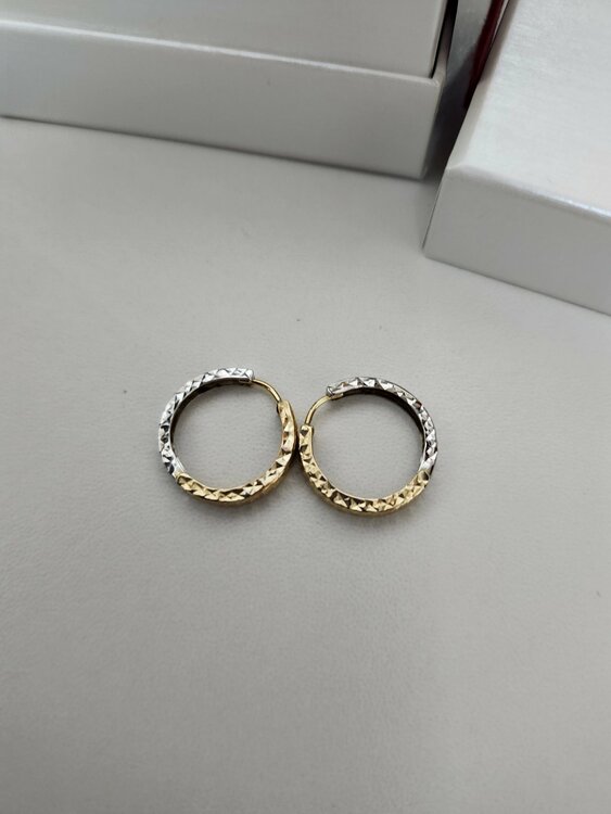 ピアス（金・貴金属）の商品画像 - 査定依頼日：2026年10月19日 - 最高査定価格：100,000円