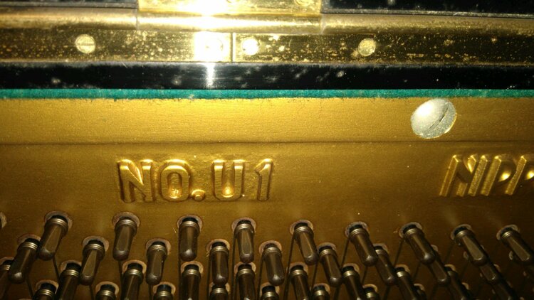 U1　109915（ピアノ・楽器・PA機材）の商品画像 - 査定依頼日：2026年4月1日 - 最高査定価格：20,000円