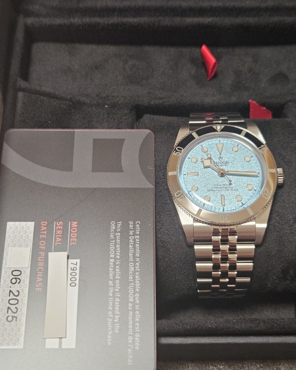 チューダー ブラックベイ 54 “ラグーンブルー”（高級時計）の商品画像 - 査定依頼日：2025年7月5日 - 最高査定価格：700,000円