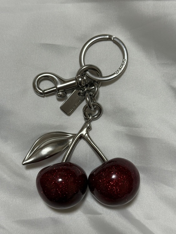 チェリーバックチャーム  縦12.5cm x 横7.5cm No. 77840（ブランド財布・小物）の商品画像 - 査定依頼日：2025年7月28日 - 最高査定価格：1,000円