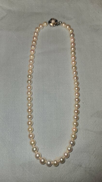 パール（金・貴金属）の商品画像 - 査定依頼日：2026年3月26日 - 最高査定価格：1,000円