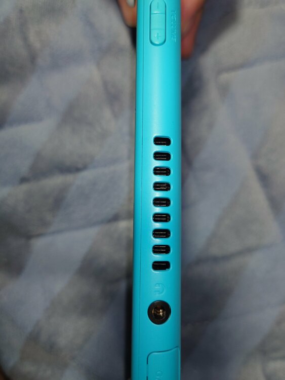 Nintendo Switch Lite（ゲーム機本体・ゲームソフト）の商品画像 - 査定依頼日：2026年4月12日 - 最高査定価格：12,000円