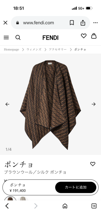 フェンディ  ショール（古着・ファッション）の商品画像 - 査定依頼日：2025年12月26日 - 最高査定価格：20,000円