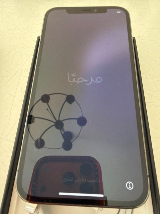 iPhone 12 Pro 256GB SIMフリー（スマホ）の商品画像 - 査定依頼日：2026年2月21日 - 最高査定価格：35,000円