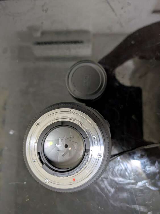 SIGMA 85mm F1.4 EX DG ニコン用（カメラ）の商品画像 - 査定依頼日：2025年3月18日 - 最高査定価格：35,000円