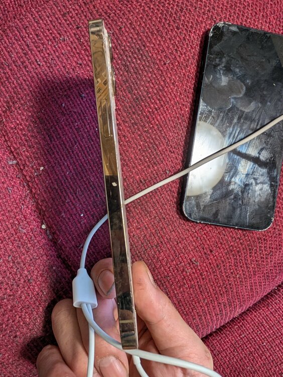 iPhone12ProMax　ホワイト（スマホ）の商品画像 - 査定依頼日：2026年2月7日 - 最高査定価格：30,000円