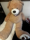 大のクマのぬいぐるみ（その他のおもちゃ）の商品画像 - 査定依頼日：2025年1月15日 - 最高査定価格：500円