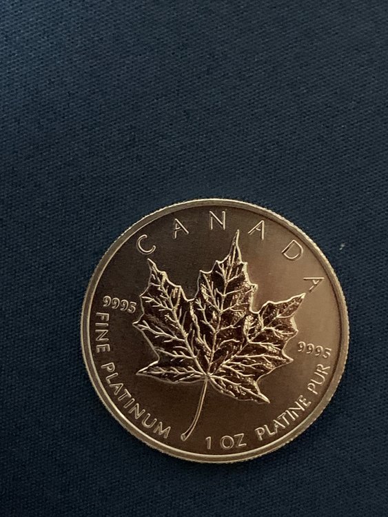 プラチナコイン（金・貴金属）の商品画像 - 査定依頼日：2023年4月28日 - 最高査定価格：140,000円