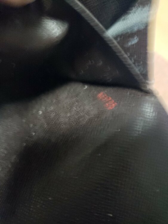 ダミエ ポルトフォイユ・サラ 長財布 （ブランド財布・小物）の商品画像 - 査定依頼日：2025年12月23日 - 最高査定価格：100,000円