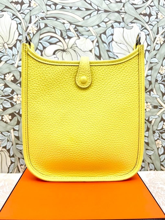 エブリン TPM ライム（W刻印／2024年製（ブランドバッグ）の商品画像 - 査定依頼日：2026年2月20日 - 最高査定価格：100,000円