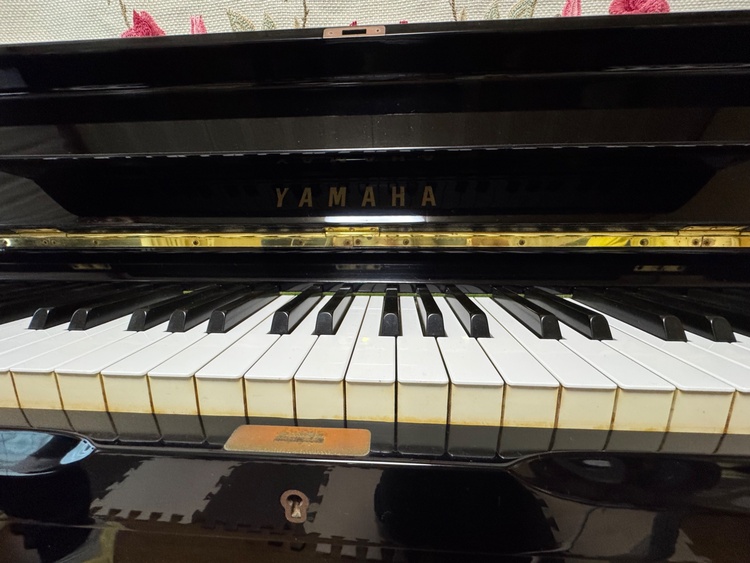 U1H2461223（ピアノ・楽器・PA機材）の商品画像 - 査定依頼日：2026年5月4日 - 最高査定価格：100,000円
