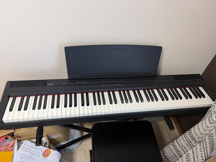 P-105B（ピアノ・楽器・PA機材）の商品画像 - 査定依頼日：2026年3月8日 - 最高査定価格：5,000円